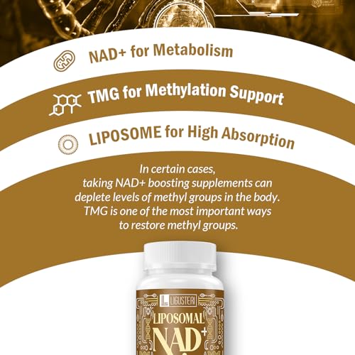 Liposomal NAD+ TMG Supplement for Aging Defense