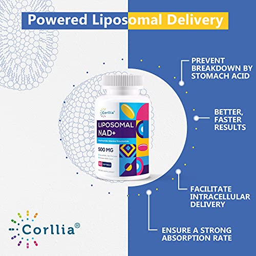 Corllia Liposomal NAD+ 500mg with TMG Softgels