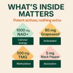 b.Ready NAD+ Gummies for Energy and Aging Support