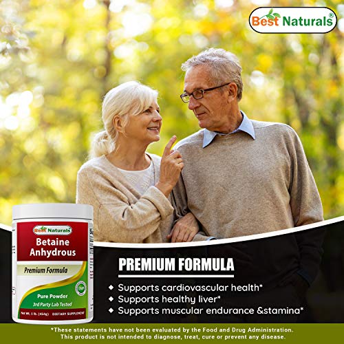 Naturals TMG Pure Powder 3-Pack 1 lb each