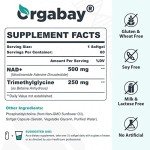 Liposomal NAD+ & TMG Supplement | 60 Softgels