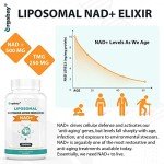 Liposomal NAD+ & TMG Supplement | 60 Softgels