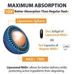 Liposomal NAD+ & TMG Supplement | 60 Softgels