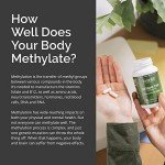 BrainMD TMG Betaine Capsules - Mood Support