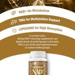 Liposomal NAD+ Supplement with TMG for Longevity