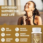 Liposomal NAD+ Supplement with TMG for Longevity