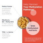 TMG Supplements Homocysteine Supreme - Methylated B Vitamins