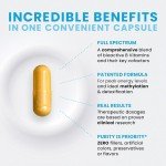 Methyl B Complete - 60 Veggie Capsules for Support