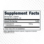 Type Zero TMG (Trimethylglycine) 750mg - 120 Capsules