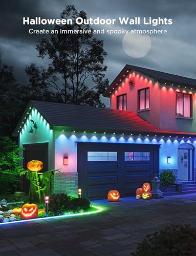 Smart RGBIC Outdoor Wall Light, 2 Pack