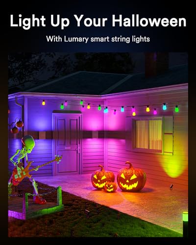 Smart Landscape Lights - 56Ft Color Changing Set