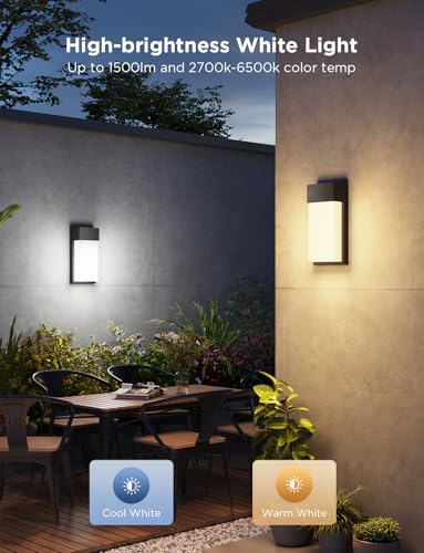 Smart RGBIC Outdoor Wall Light, 2 Pack