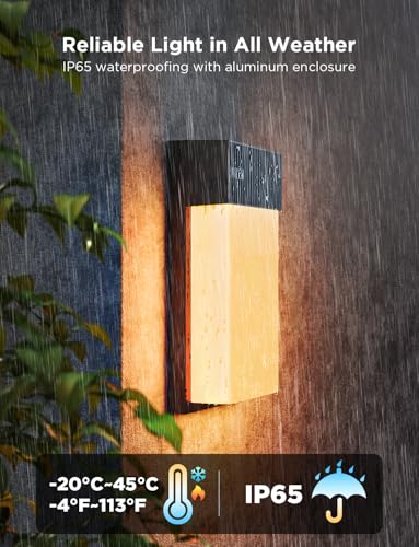 Smart RGBIC Outdoor Wall Light, 2 Pack