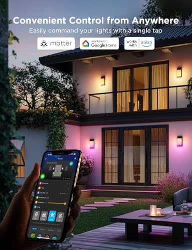 Smart RGBIC Outdoor Wall Light, 2 Pack