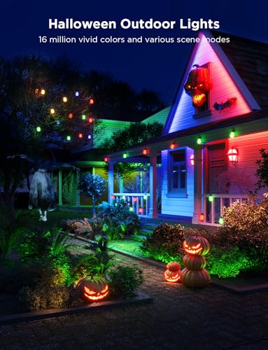 Govee Smart RGBIC Outdoor String Lights 96ft