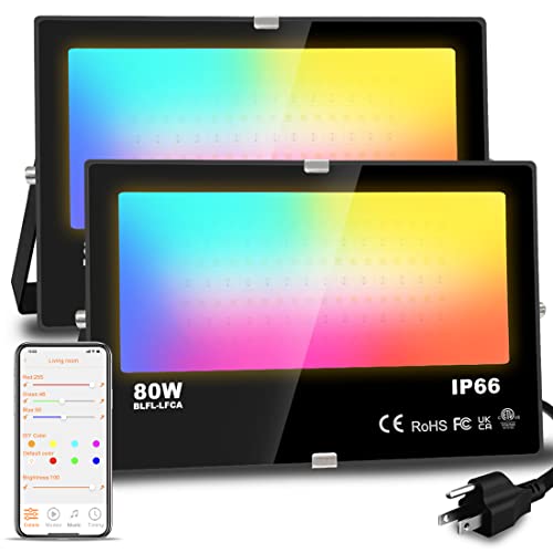 Smart RGB LED Flood Lights with APP Control - 2 Pack