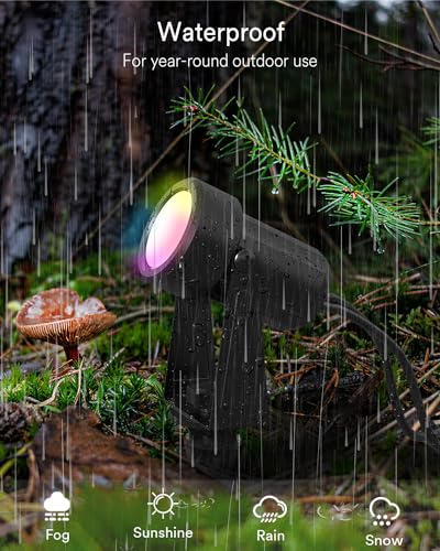 Ligency Smart Outdoor RGBW Spot Lights with Alexa