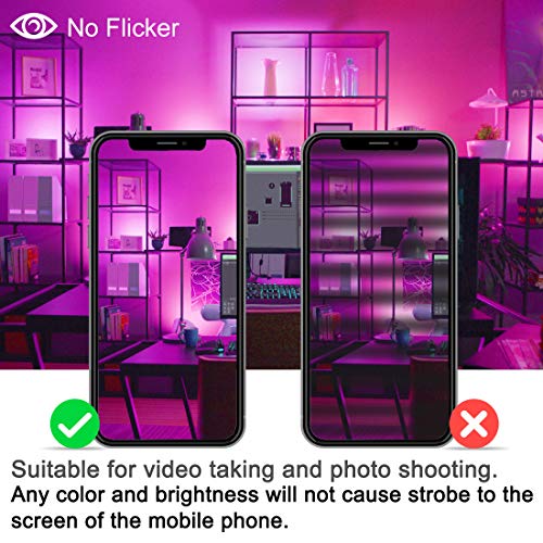 Smart RGB LED Flood Lights with APP Control - 2 Pack