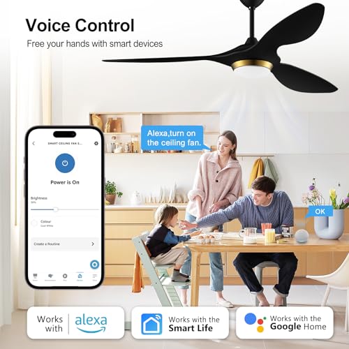 reiga 52 Inch Black Modern Ceiling Fans with Lights and Remote Control, Smart Wifi 3 Blades Quiet DC Motor Ceiling fan for Living Room Bedroom Patio, ETL Listed