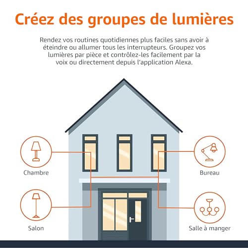 Amazon Basics Smart A19 LED Light Bulb, 2.4 GHz Wi-Fi, 7.5W (Equivalent to 60W) 800LM, Works with Alexa Only, 1-Pack, Multicolor