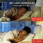 Sengled WiFi Color Changing Smart Light Bulbs Set