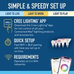 Cree Connected Max Smart LED Floodlight Bulb
