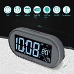 DreamSky Digital Alarm Clock with USB & Dimming