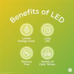 GE LED Dusk to Dawn Outdoor Light Bulbs (2 Pack)