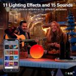 MOMILLA Smart Sunrise Alarm Clock, Wake-up Light Compatible with Alexa, App Control, FM Radio, Sunset Night Light, Dual Alarms with Snooze Function for Heavy Sleepers, Adults & Kids