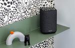 Denon Home 150 Wireless Smart Speaker – Compact Design, Wi-Fi & Bluetooth, HEOS Built-in, Alexa Built-in, Siri & AirPlay 2, Spotify Connect, Multi-Room Support, Black