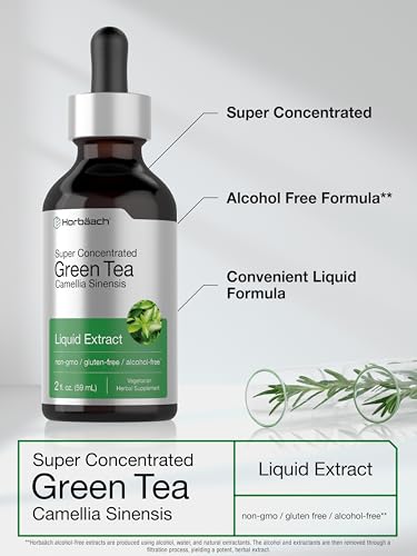 Horbäach Green Tea Extract Liquid | 2 Fl Oz