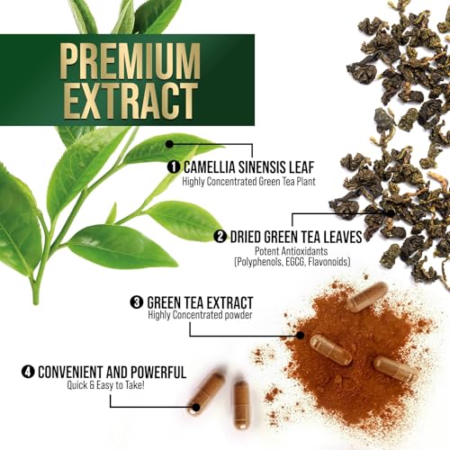 Green Tea Extract Capsules 1000mg - 3X Strength