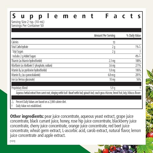 Floradix Vegetarian Iron Liquid Supplement: Energy Support (8 words)