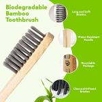 BAMBOOGALOO Premium Bambus Zahnbürsten & Gratis Wattestäbchen