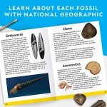 NATIONAL GEOGRAPHIC Mega Fossil Dig Kit - Excavate 15 Genuine Prehistoric Fossils, Kids Fossil Kit, Educational Toys, Great Science Kit Gift for Girls and Boys (Amazon Exclusive)