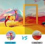 HD Blu-Ray Disc Player with HDMI and USB