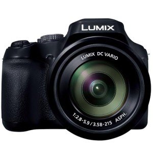 Panasonic LUMIX FZ80D Compact Camera with Zoom Lens