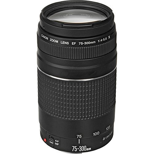 Zoom Lenses