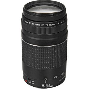 Canon EF 75-300mm Telephoto Zoom Lens