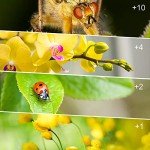 58mm Macro Close-up Filter Kit - 4 Pieces