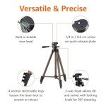 Amazon Basics Lightweight 50-inch Camera Tripod Stand