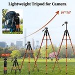 JOILCAN 74" Heavy Duty Tripod for Cameras & Phones