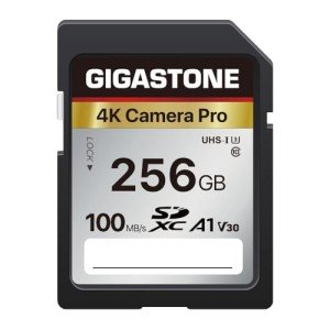 Gigastone 256GB 4K SDXC Memory Card - 100MB/s