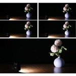 ULANZI VL49 Dimmable LED Video Light 2000mAh