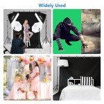 NEEWER 800W Softbox Lighting Kit for Photography