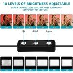 Hagibis Studio LED Light Set with 9 Filters
