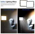 2-Pack Dimmable LED Video Light Kit