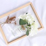 GFCC White Background for Photoshoots and Videos