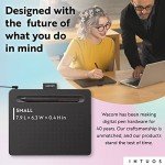 Wacom Intuos Small Graphics Drawing Tablet, Black
