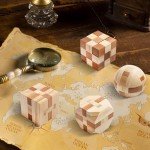 4 Pack Wooden Brain Teaser 3D Puzzle Set